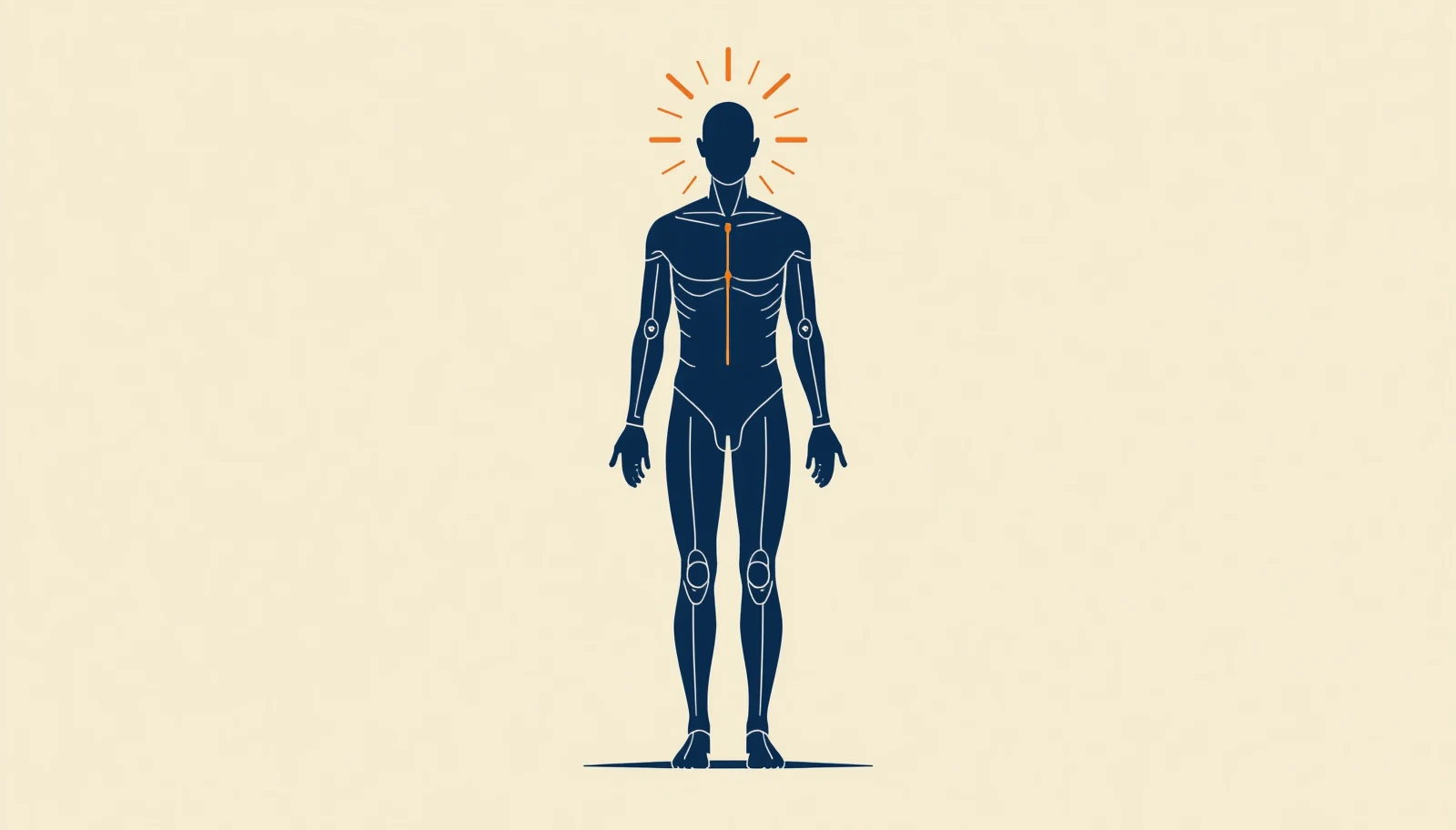 hardware sin software es como un cuerpo sin mente: el sistema operativo es la mente que organiza todo